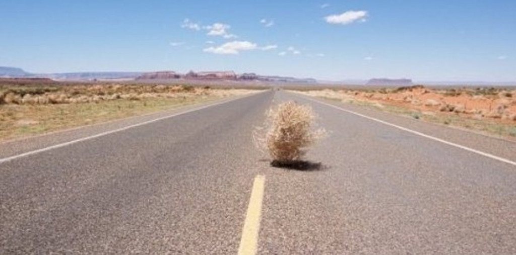 Tumbleweed