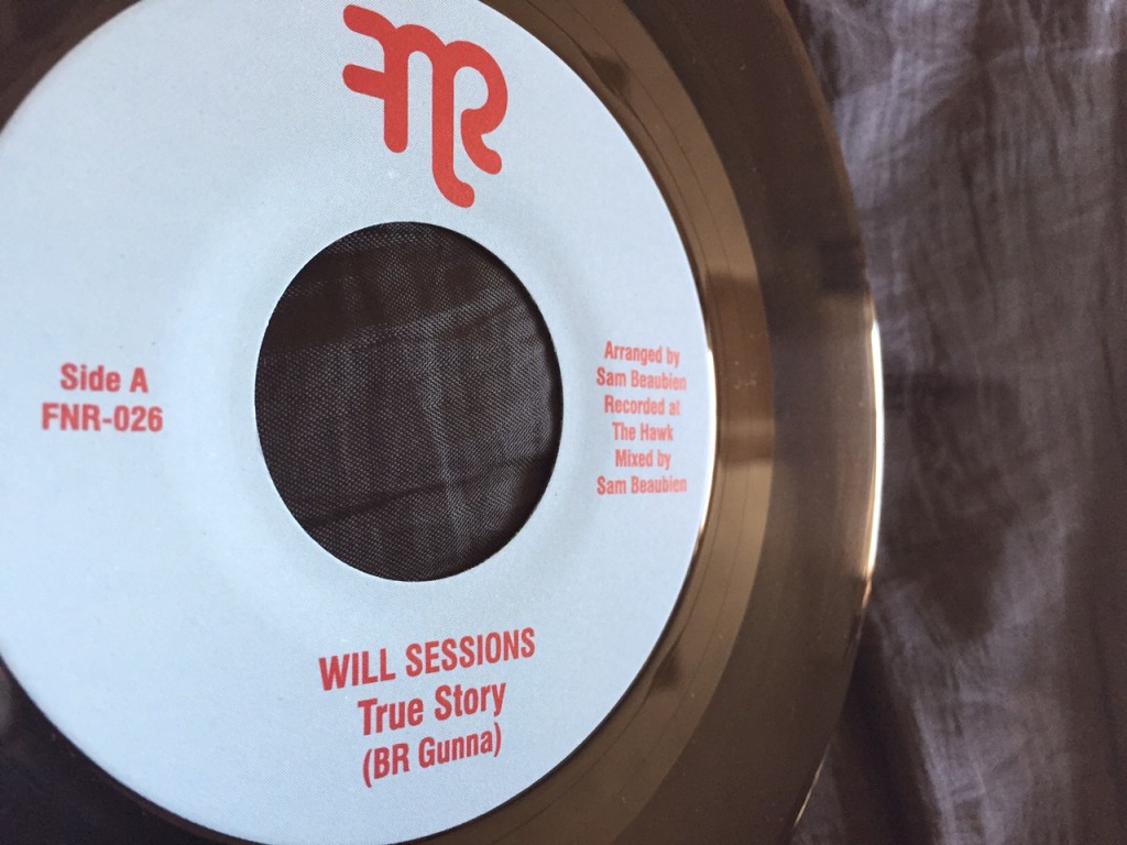 Will Sessions - True Story - 41 Rooms - show 2