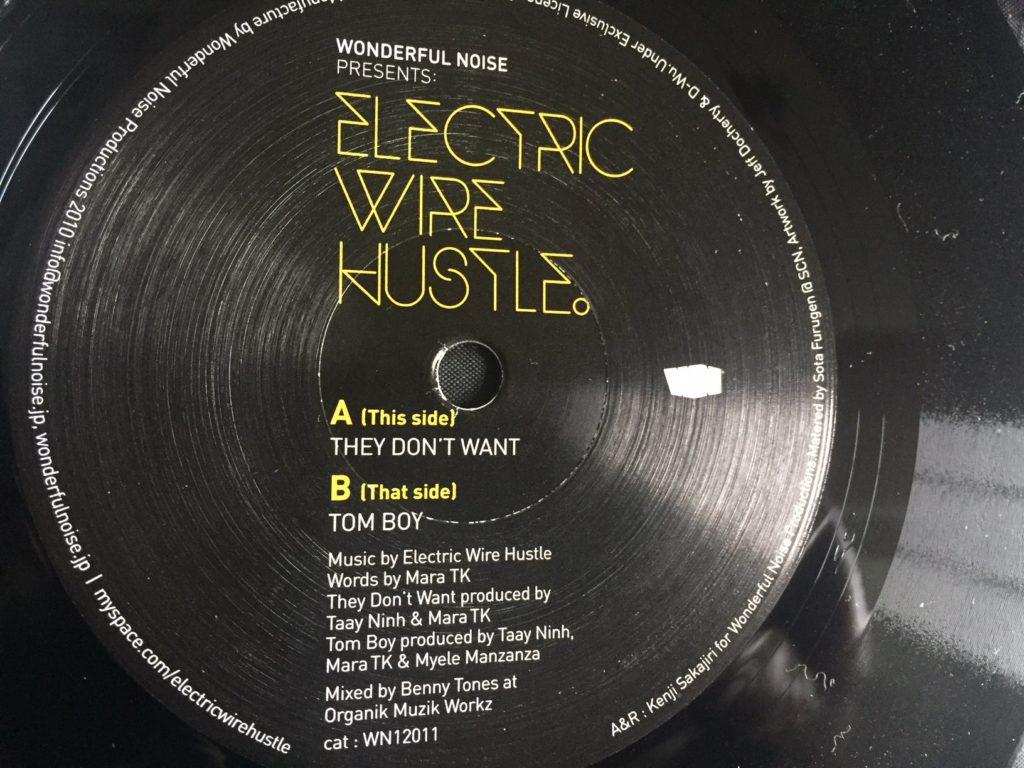 Electric Wire Hustle - They Don't Want - 41 Rooms - show 56