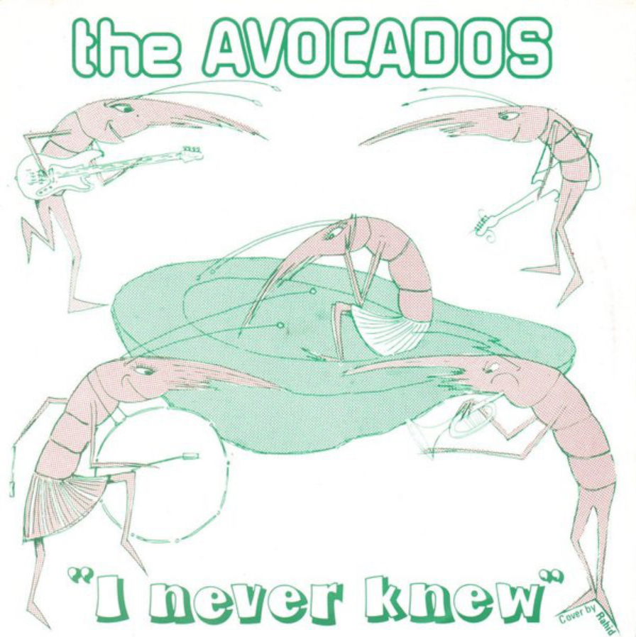 The Avocados - I Never Knew - 41 Rooms - show 68