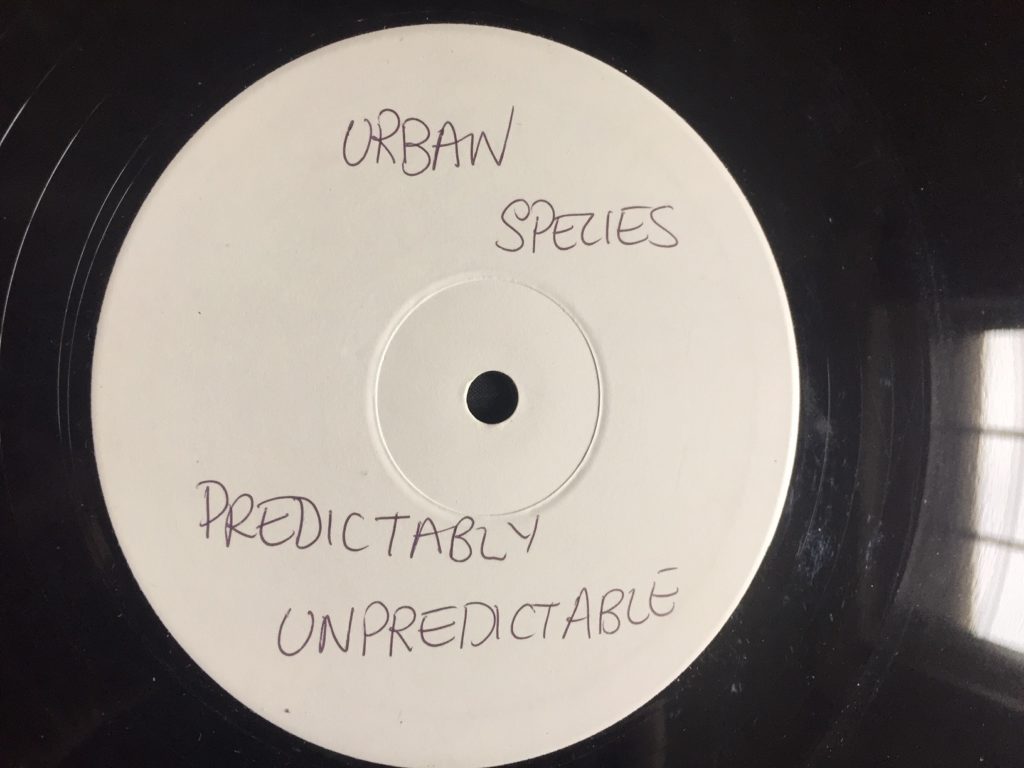 Urban Species - Predictably Unpredictable - 41 Rooms - show 70