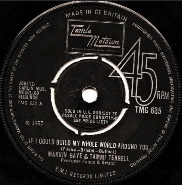 Marvin Gaye and Tammi Terrell - If I Could Build My Whole World Around You - 41 Rooms - show 99