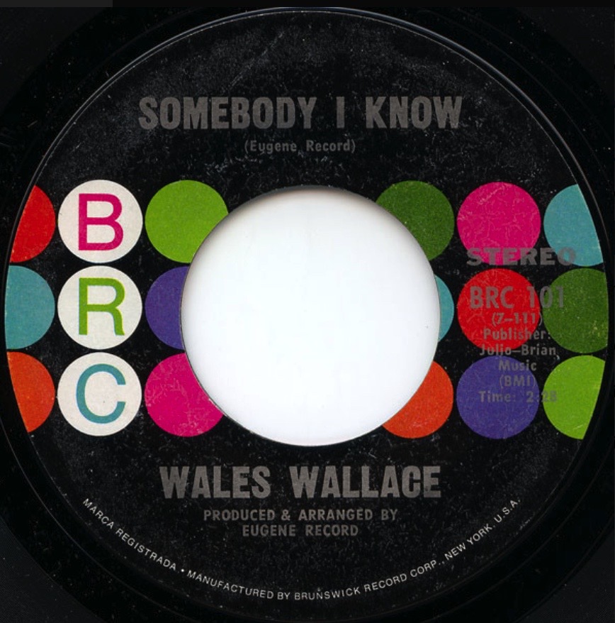 Wales Wallace - Somebody I Know - 41 Rooms - show 109