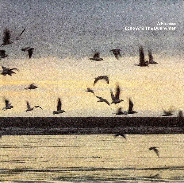 Echo and The Bunnymen - A Promise - 41 Rooms - show 132