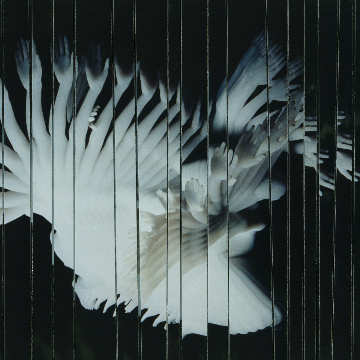 Scaler (feat Akiko Haruna) - Salt - 41 Rooms - show 142