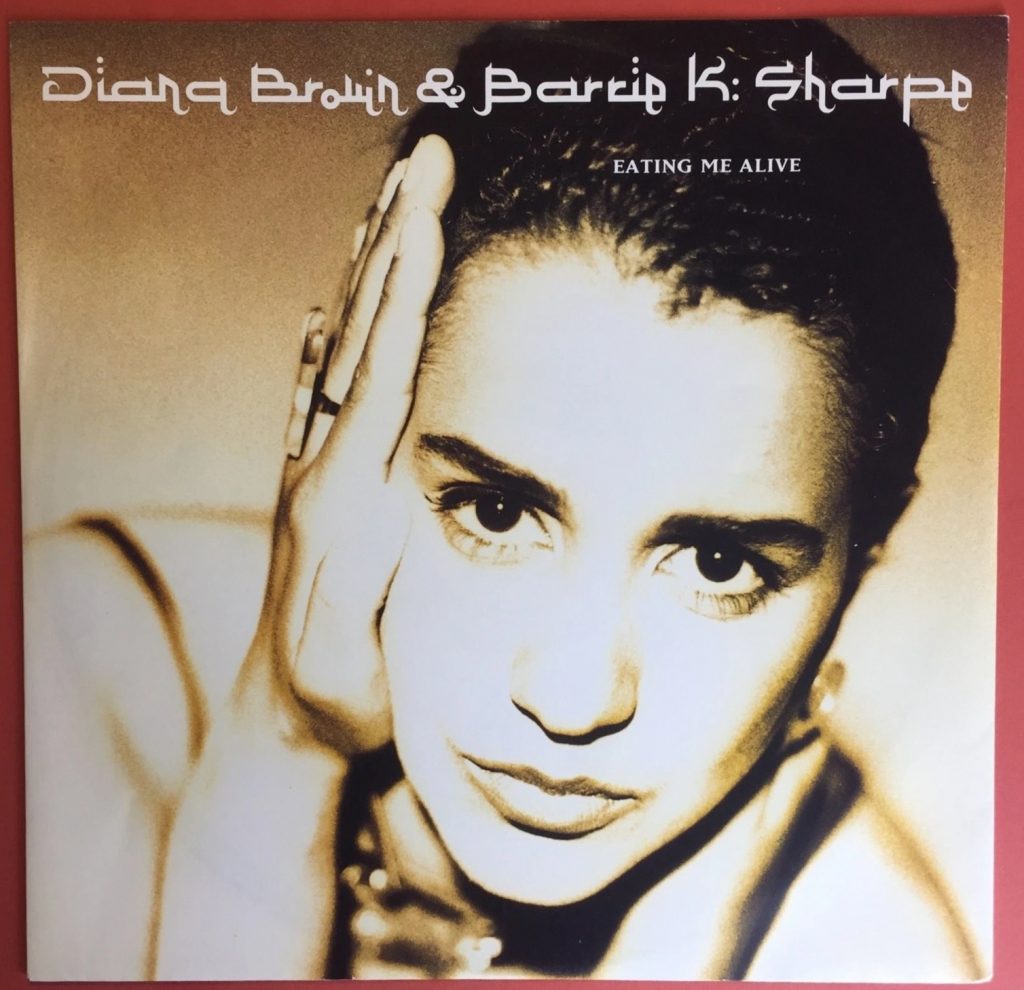 Diana Brown & Barrie K. Sharpe - Eating Me Alive - 41 Rooms - show 149