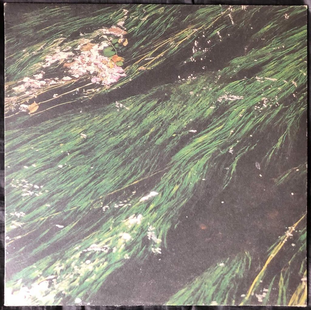 Beth Hirsch - Miner's Son (Aquatic Mix) - 41 Rooms - show 151