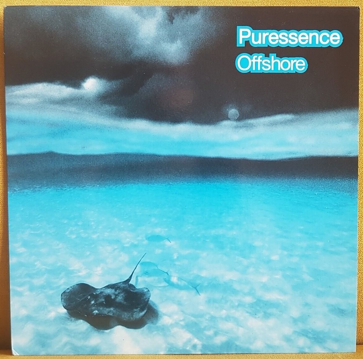 Puressence - Offshore - 41 Rooms - show 155