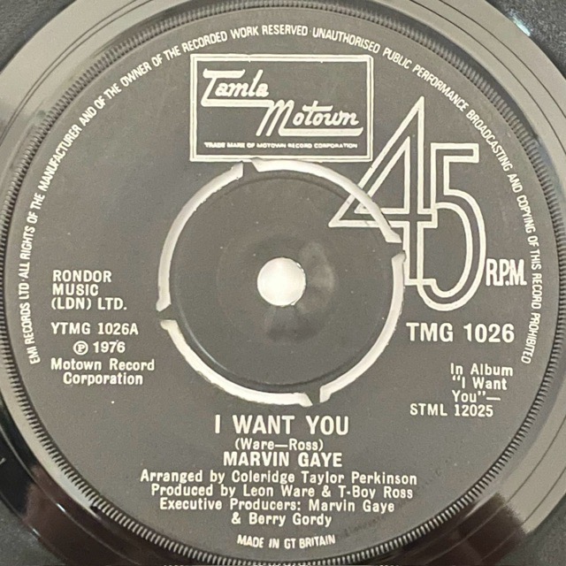 Marvin Gaye - I Want You - 41 Rooms - show 156